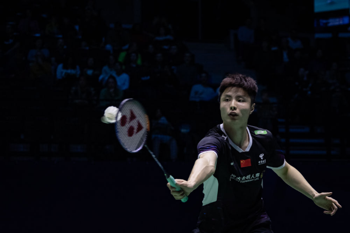 的精彩画卷 的精彩画卷